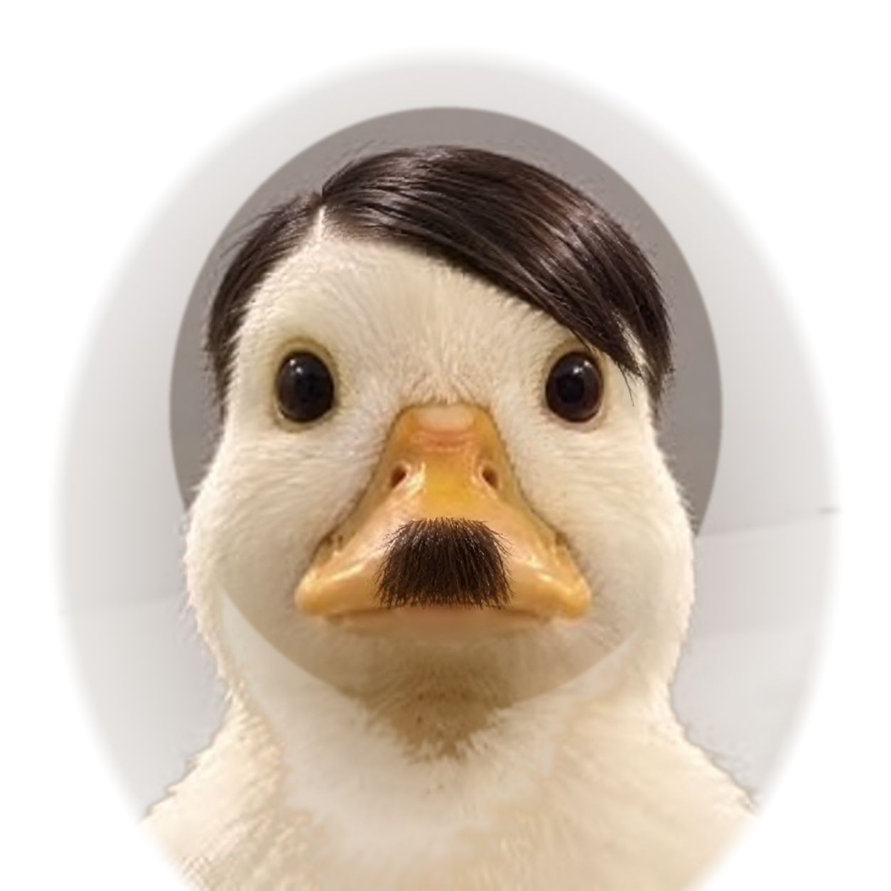 NAZIDUCK character